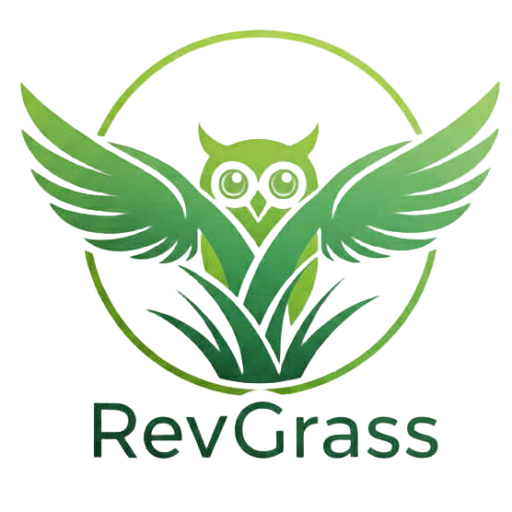 obraz 2025 12 30 234606125