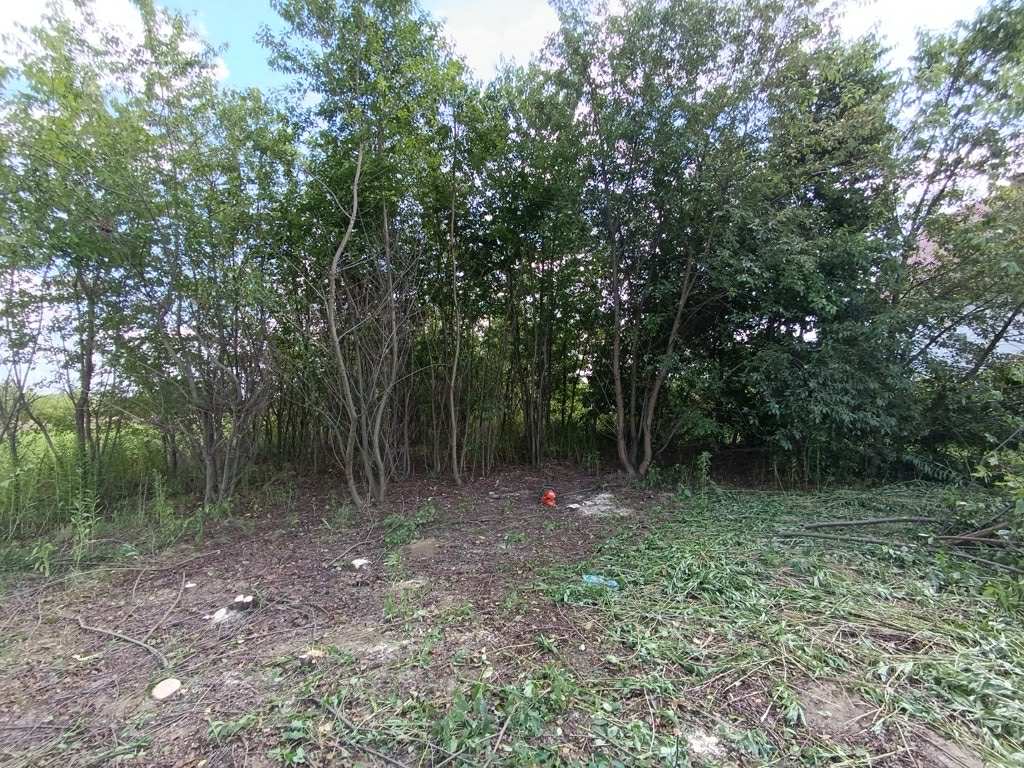 1f629c0e 0dc0 44ef 86e3 e6e3476a2ed0