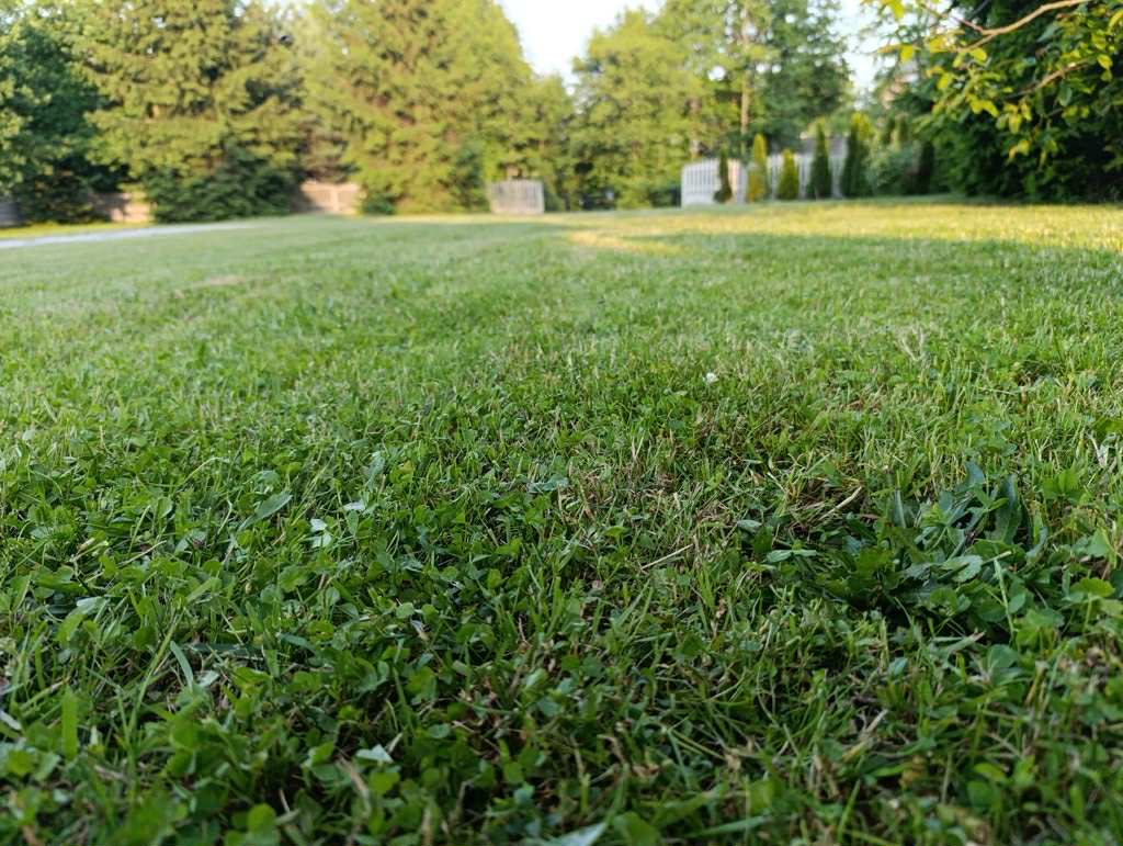 fcecab39 ccfa 48f5 a994 19606c4702a8