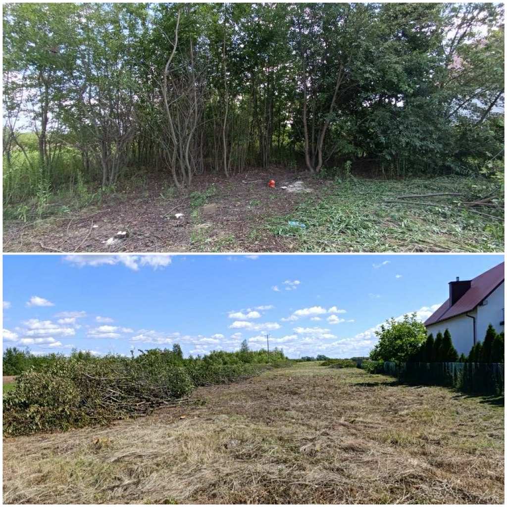 10383100 9e5e 4186 861c 7730f1a853e0