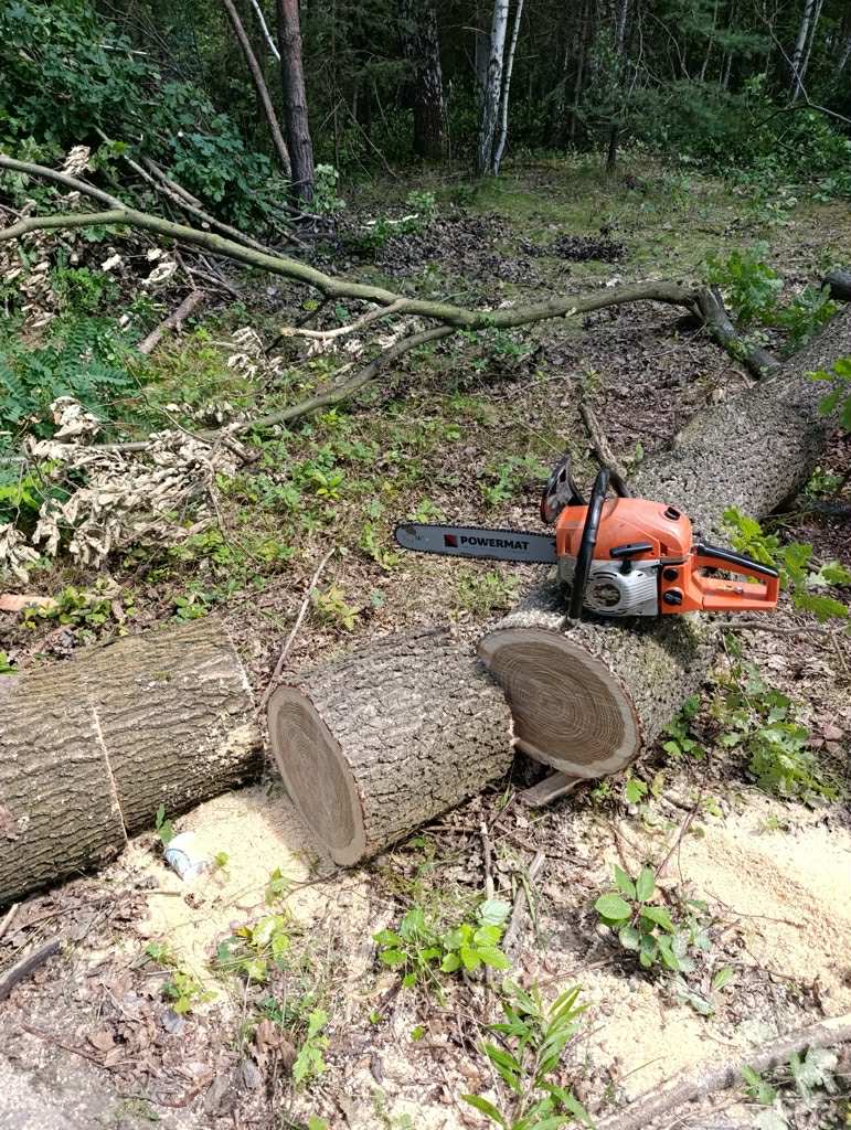 4f211bb9 84c5 42d4 917b ba0e58e31953