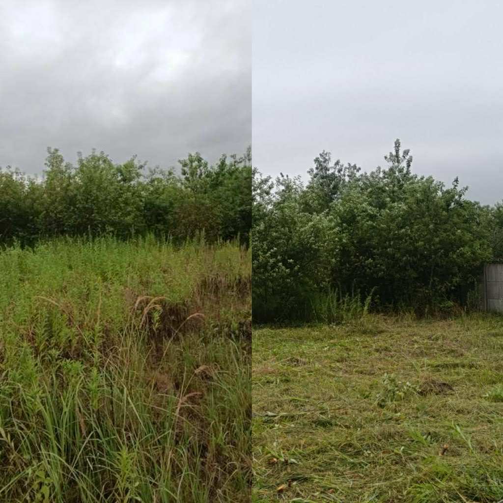 bf2131c8 57c9 44f0 90cb 6d800656fc77