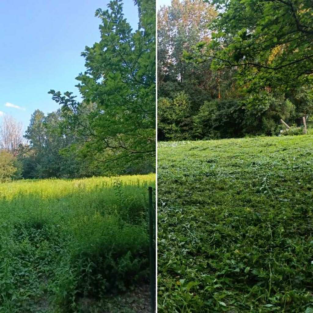 ef2e1606 365e 4587 8f47 70387009e6af